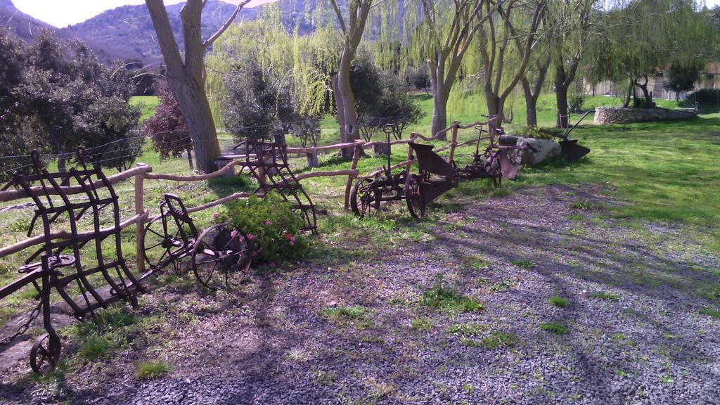 Agriturismo Cugumia Thiesi Exterior foto