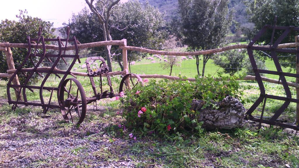 Agriturismo Cugumia Thiesi Exterior foto